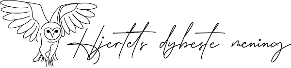 Nyt projekt